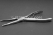 #10129 - 8"(200mm) Stainless Steel Ultimate Long Nose Pliers, 1/8" wide. - 10129