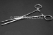 #10255 - 8"(200mm) Stainless Steel Hemostat, Straight. - 10255