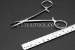 #10261 - 5"(125mm) Stainless Steel Hemostat, Curved. - 10261