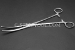 #10267 - 10"(250mm) Stainless Steel Hemostat, Curved. - 10267